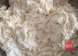 Lotus root and pork dumplings recipe 2