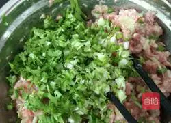 Illustration of how to make wontons 2