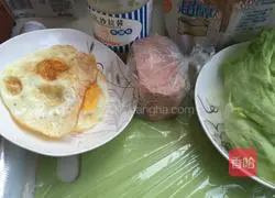 Sandwich Recipe Illustration 1