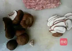 Illustration of making mushroom wontons 3