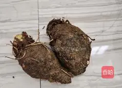 Illustration of how to make taro braised rice 2