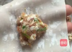 Illustration of how to make pork and green onion wontons 4