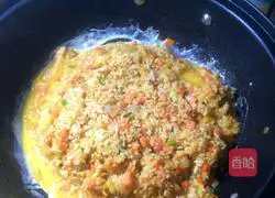 Assorted Fried Rice Recipe Illustration 8