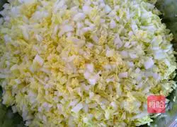 Pork Illustration of how to make cabbage dumplings 7