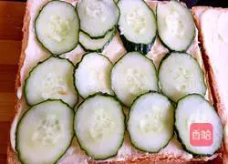  Deluxe Sandwich Recipe Illustration 2