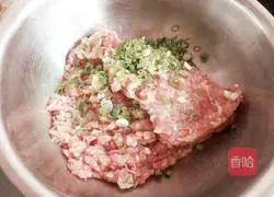 How to make dumplings stuffed with pork and potatoes Illustration 1