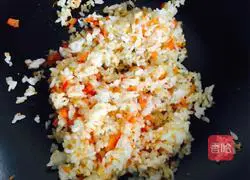 Assorted Fried Rice Recipe Illustration 5