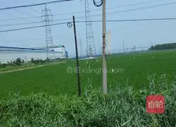 Just make soup dumplings with steamed buns, who cares? Illustration of how to make them 7