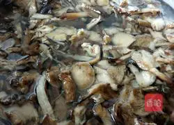 Illustration of how to make pork, hazel and mushroom dumplings 2