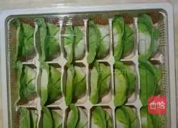 Illustration of how to make dumplings 4