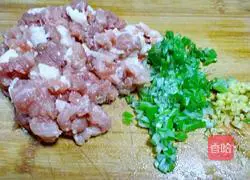 Illustration of how to make rainbow wontons 3