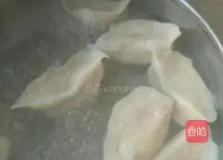 Illustration of how to make pork dumplings 11