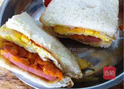 Illustration of making homemade nutritious sandwiches 5