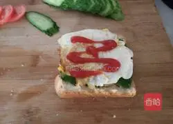 Sandwich Recipe Illustration 4