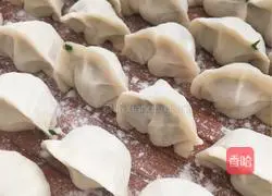 Prime Illustration of how to make stuffed dumplings 12