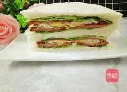 Cheese and ham sandwich recipe 11