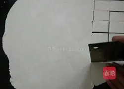 Illustration of how to make family wontons 3