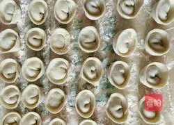 Illustration of how to make wontons 6