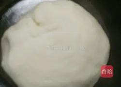 Illustration of how to make pork dumplings 2