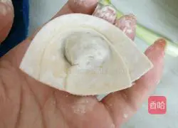 Illustration of how to make wontons 11