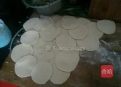 Illustration of how to make pork and green onion dumplings 3