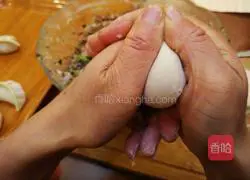 Illustration of how to wrap dumplings 10