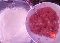 Illustration of how to make wontons 1