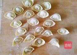 Illustration of how to make vegetarian wontons 11