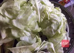 Cabbage and Pork Pie Recipe Illustration 2