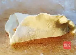 Illustration of how to make pot stickers and dumplings 11