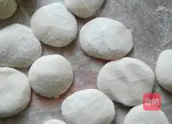 Illustration of how to make pork and leek dumplings 11