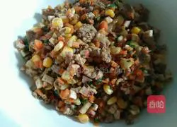 Illustration of how to make dumplings and shaomai 2