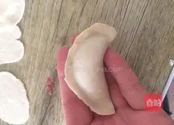 Illustration of how to make pork and green onion dumplings 8