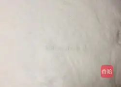 Illustration of how to make plain assorted steamed buns 1