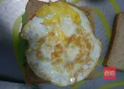 Illustration of how to make egg salad sandwich 12