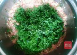 Illustration of how to make fennel filling dumplings 3