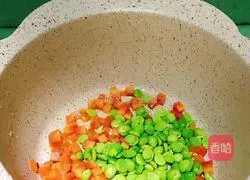 Colorful Fried Rice Teaching Illustration 9