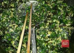 Illustration of vegetarian dumplings 4