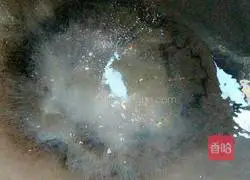 Illustration of how to make salt and pepper mung bean cake 7