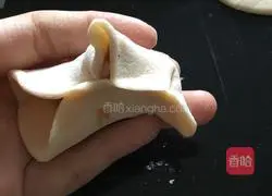 Illustration of how to make pork dumplings 9 