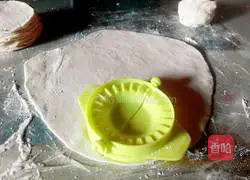 Illustration of how to make vegetarian dumplings 8