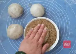 Beef Crispy Pancakes Illustration of how to do it 12