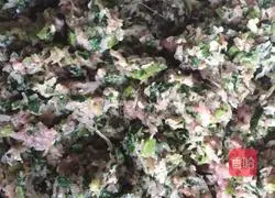 Illustration of how to make pepper and celery meat dumplings 3