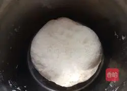 Plumb vegetables Illustration of how to make sesame cakes 6