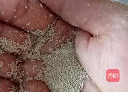 Illustration of how to make steamed buns 3