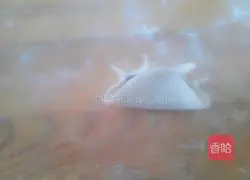 How to make dumplings stuffed with pork and fennel Illustration 15