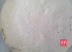 Illustration of how to make cabbage and egg vegetarian dumplings 2