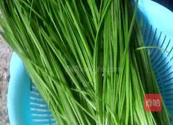 Illustration of how to make pork and leek dumplings 2