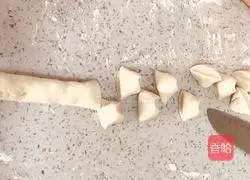 Steamed dumplings stuffed with seaweed Practice illustration 8