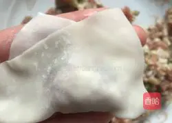 Illustration of how to make pork and green onion wontons 5